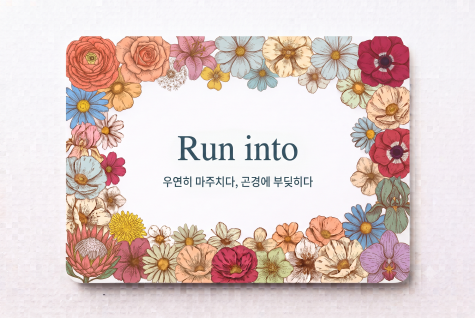 Run into 우연히 마주치다