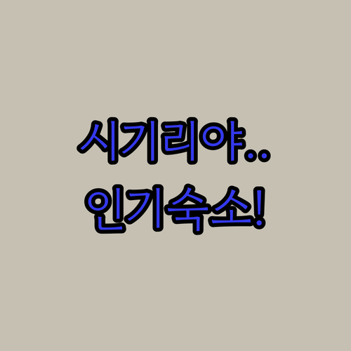 스리랑카 시기리야 여행객이 극찬한 인..