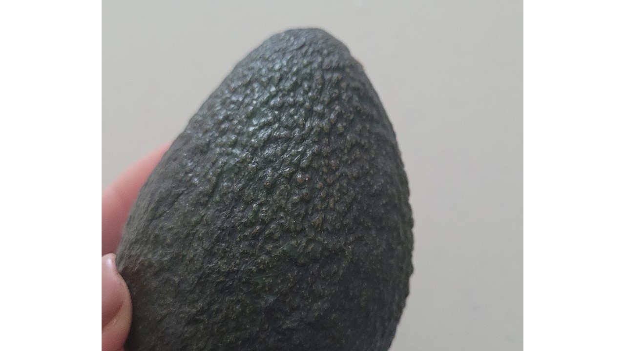 갈색빛을 띄기 시작한 아보카도