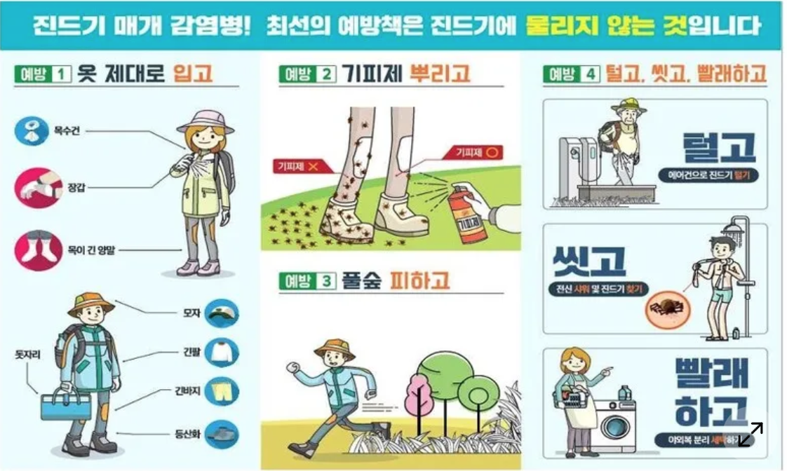 진드기-감염병