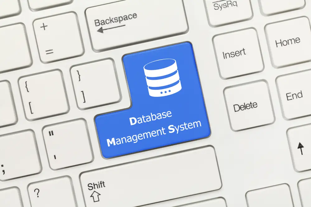 DBMS 이미지