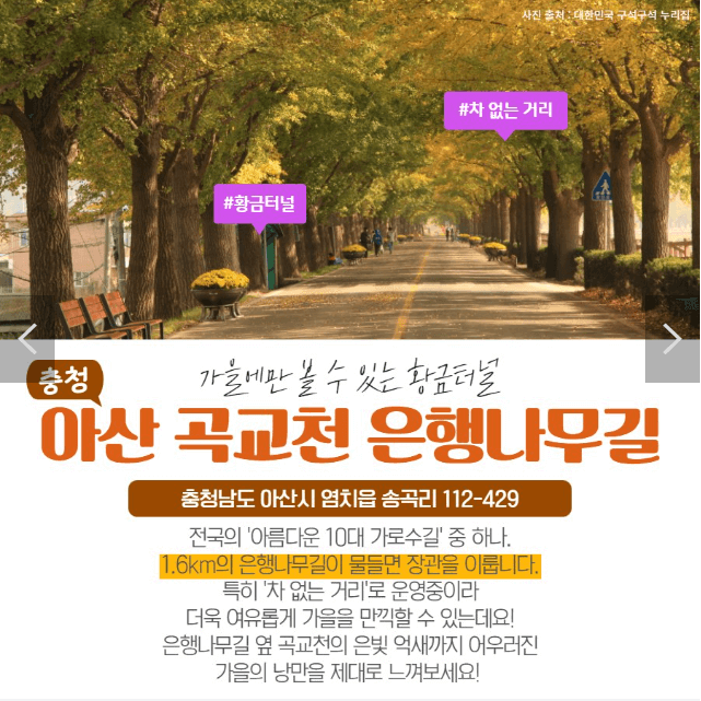 단풍 명소 여행