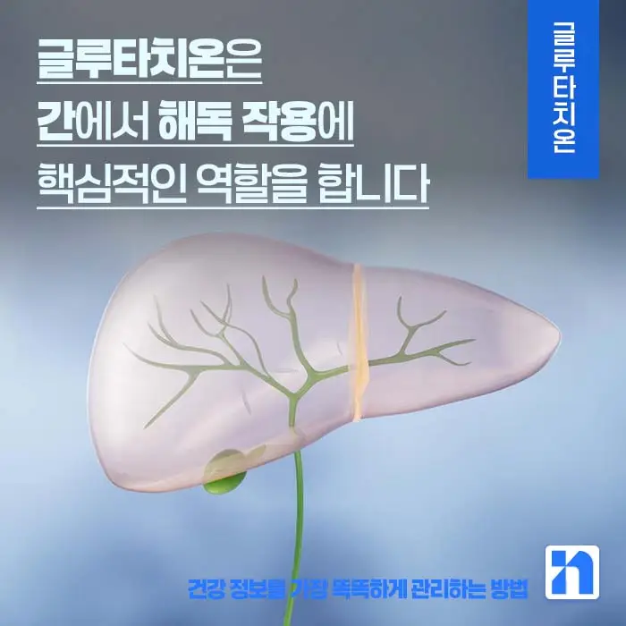 글루타치온 효능