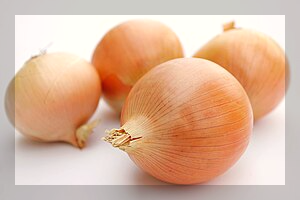 신장에_좋은_음식