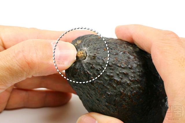 맛있는 아보카도 고르는법,좋은 아보카도 고르기 먹는법,팁줌