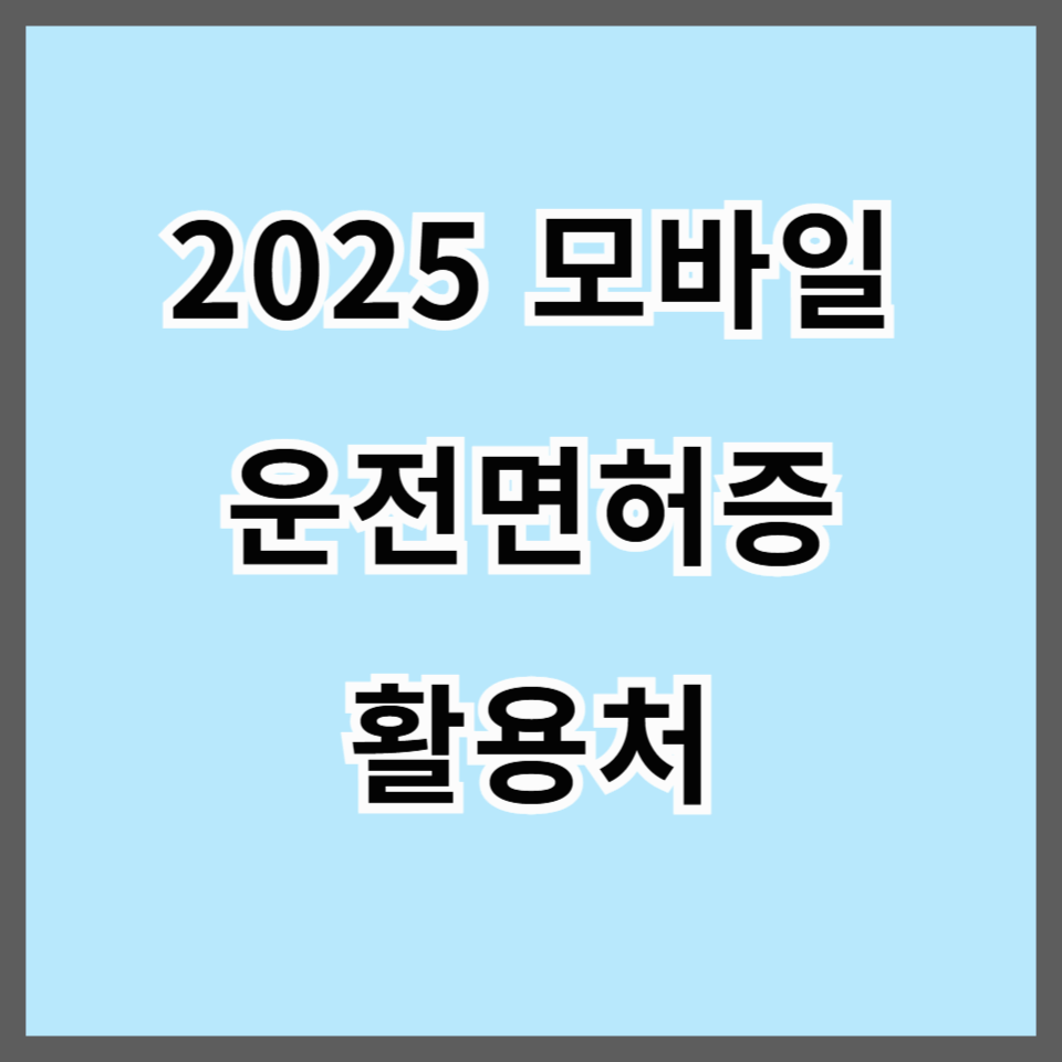 2025 모바일 운전면허증 활용처 총정리 및 발급 방법 안내