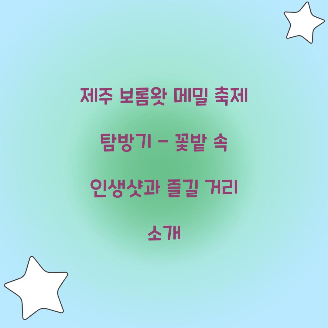 제주 보롬왓 메밀 축제