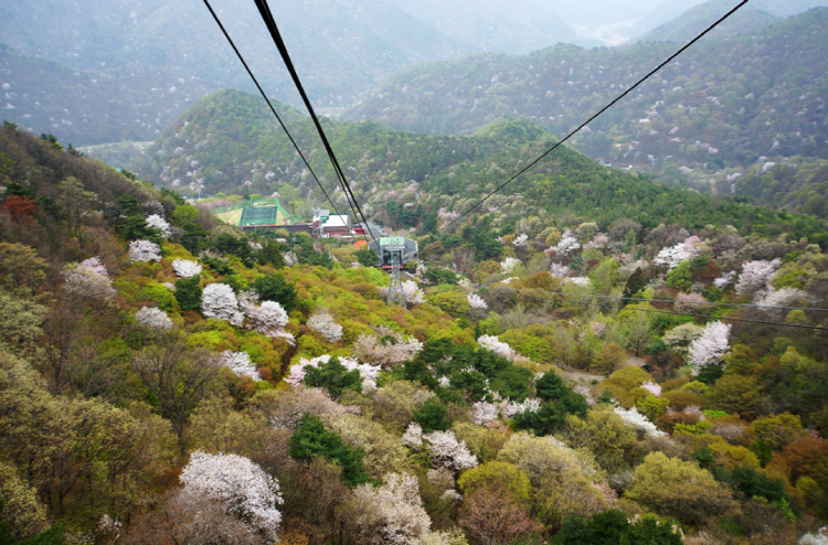 대둔산 케이블카