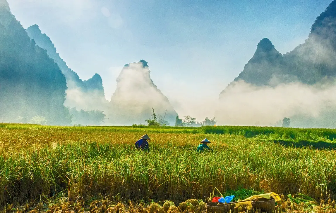 손해평가사 시험일정 시험과목 합격률