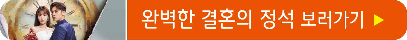 완벽한 결혼의 정석 드라마 보기