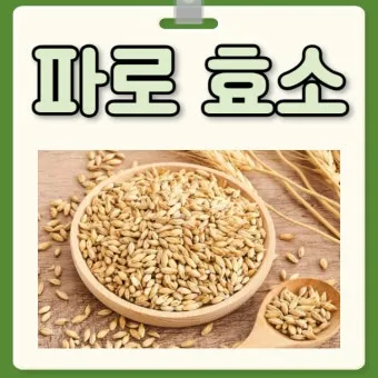 파로 효소 복용법 다섯 가지 방법과 식사와의 궁합_13