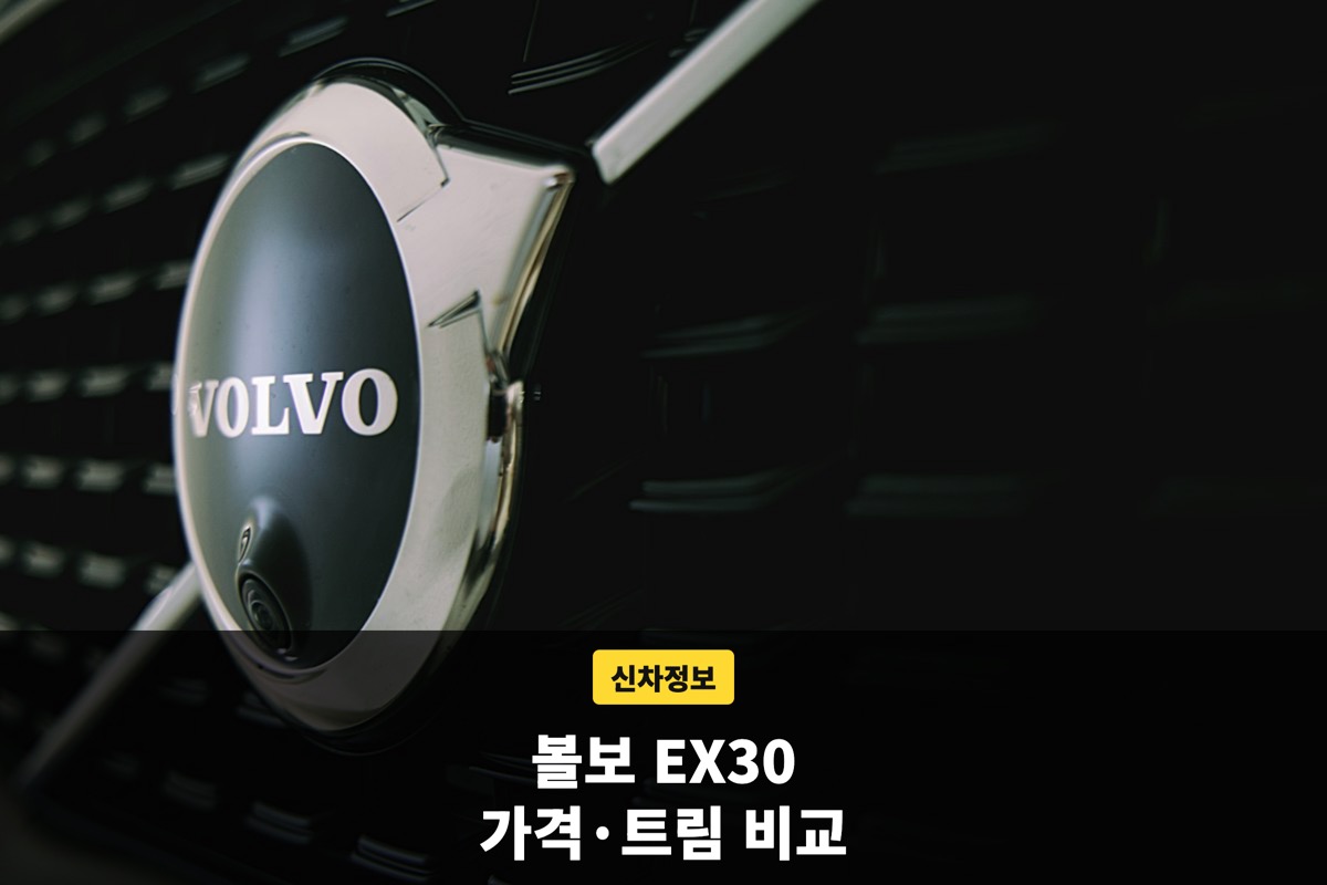볼보 로고 엠블럼이 달린 어두운 전면 그릴 근접