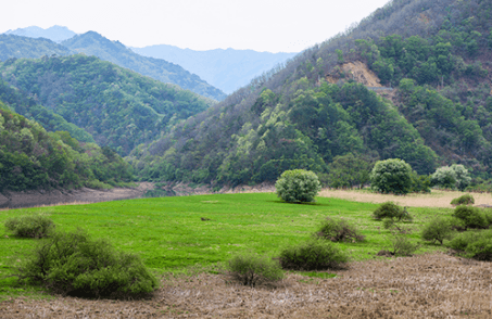 화천 평화생태특구