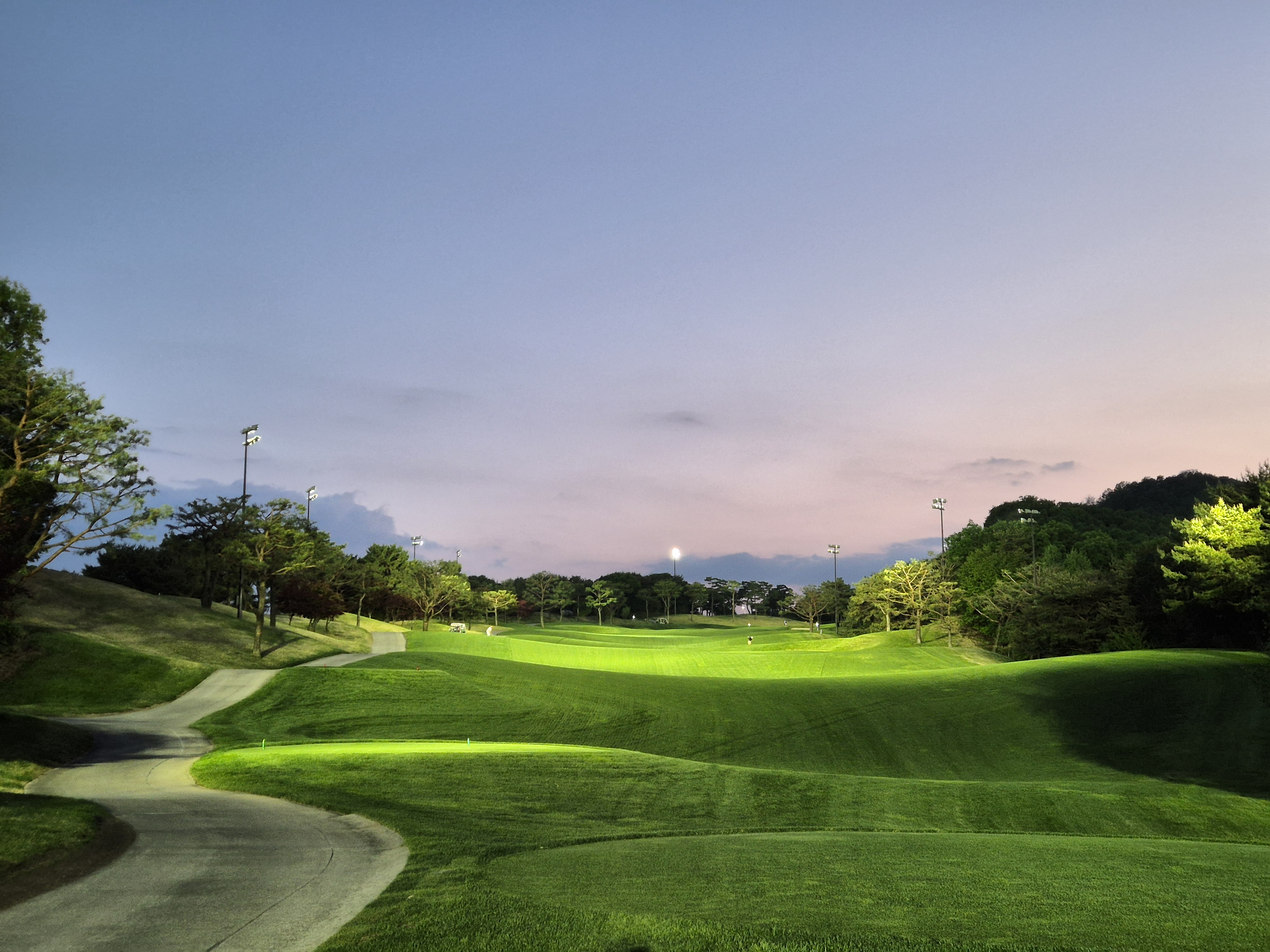 베어크리크cc 크리크코스