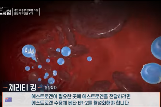 여성 갱년기 유산균 YT1