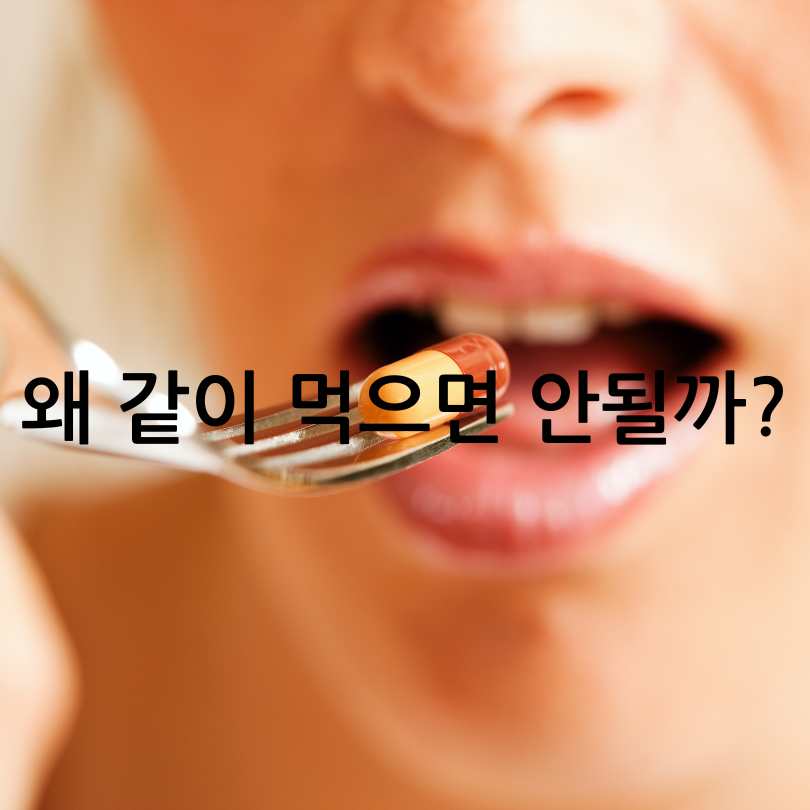 같이 먹으면 안좋은 영양제 조합