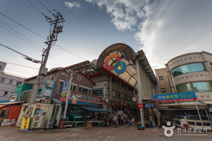 양양 가볼만한곳 베스트10