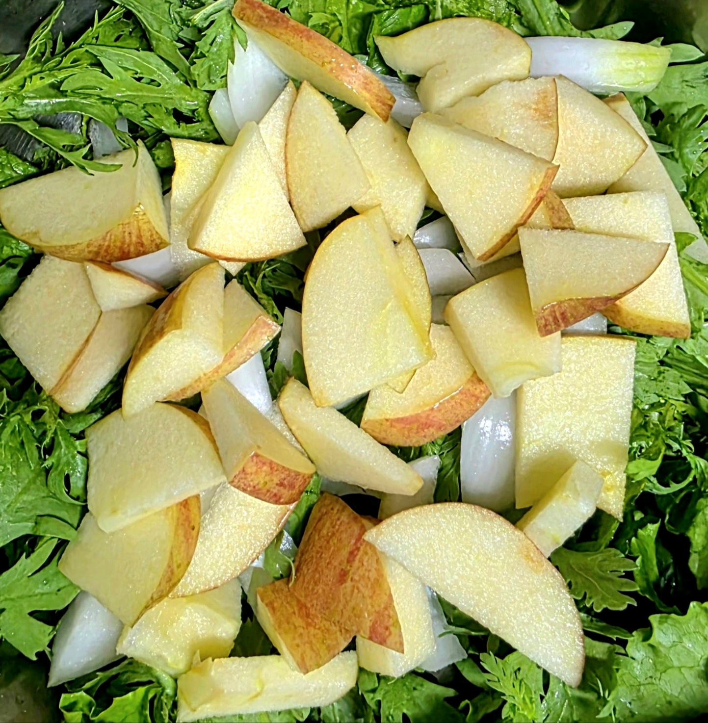 주인공-사과입니다.