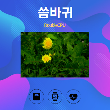 씀바귀 알아보기