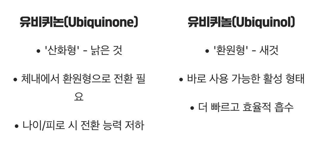 '산화형' vs '환원형', 흡수율의 첫 번째 열쇠