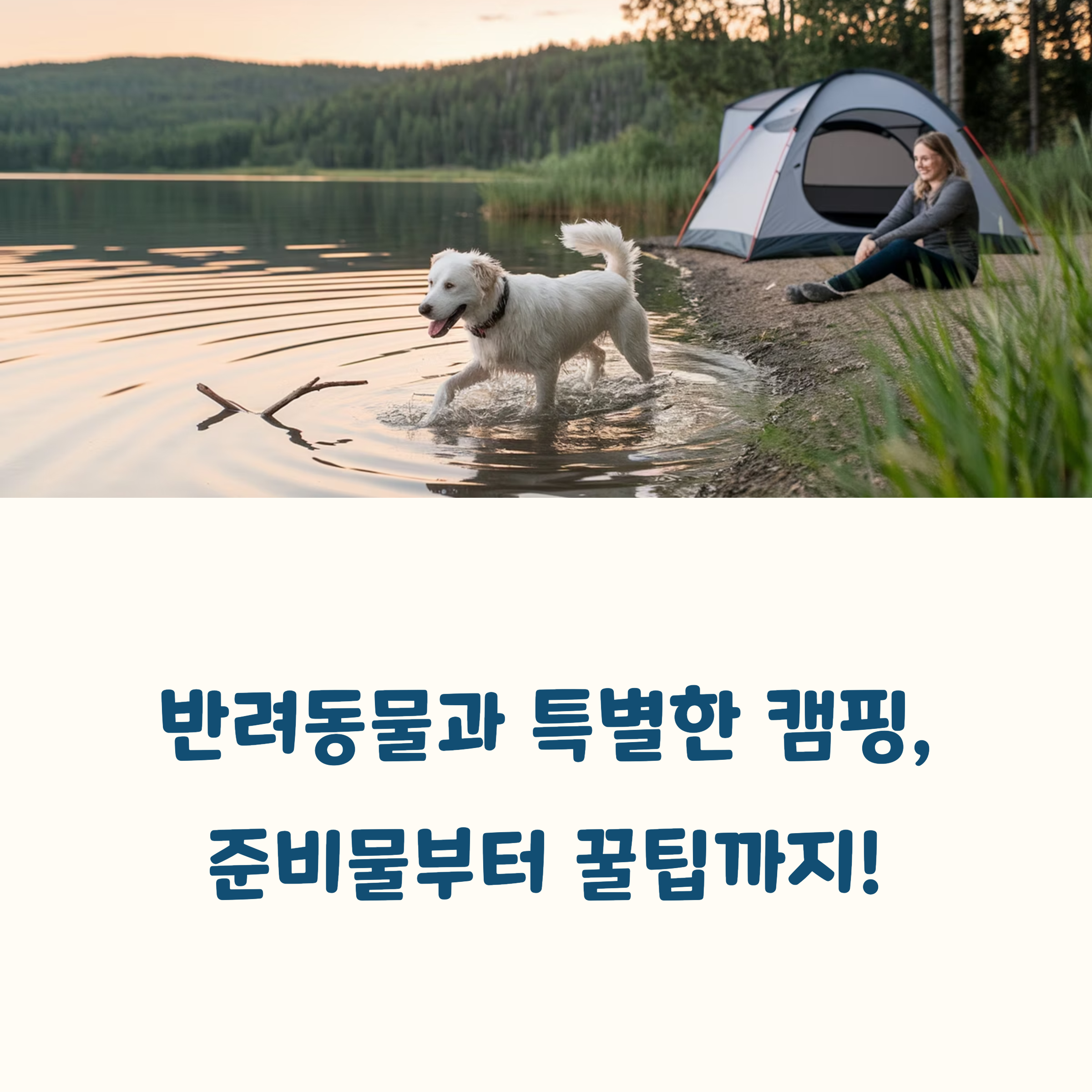 캠핑 필수 준비물 & 안전 캠핑 꿀팁