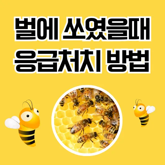 벌에 쏘였을 때 응급처치 방법