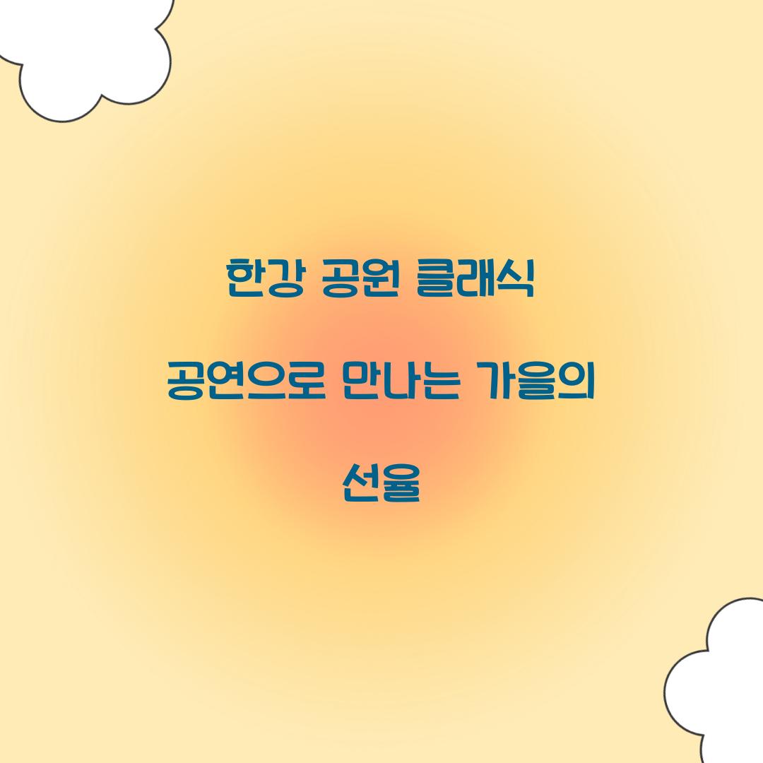 한강 공원 클래식 공연