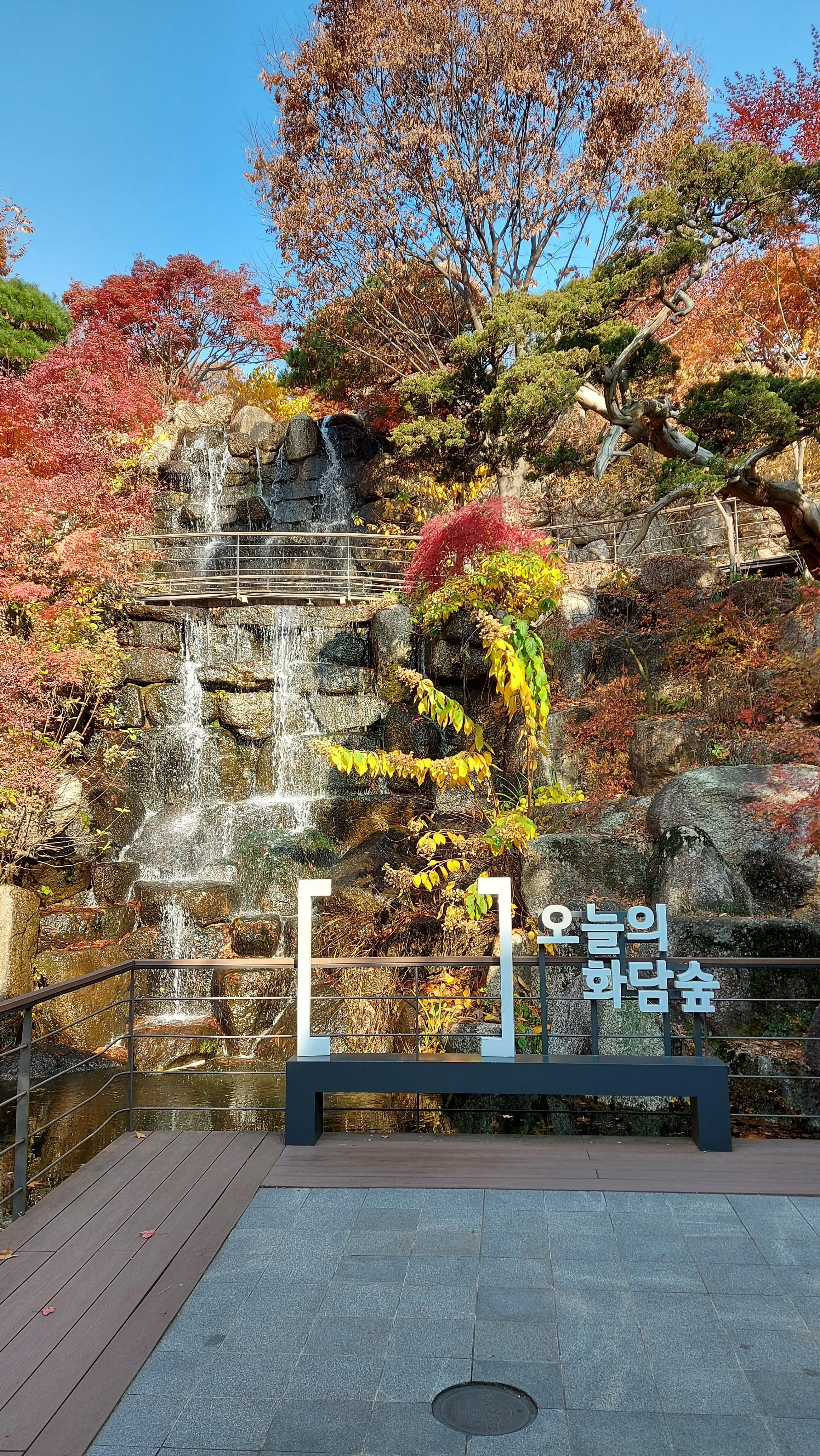곤지암 화담숲 단풍