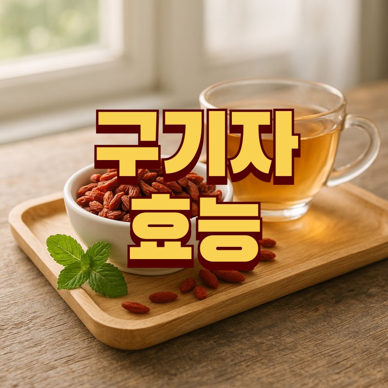 구기자 효능