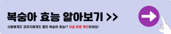 복숭아 효능