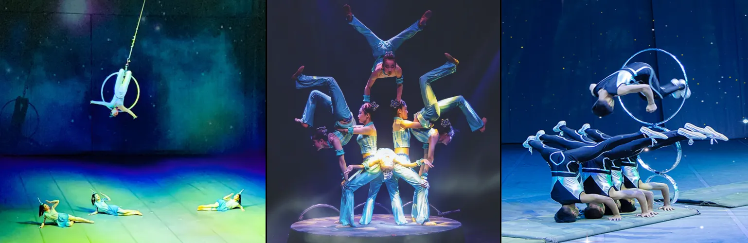 제주아트서커스 공연 사진