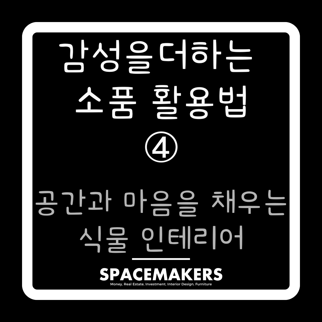 공간과 마음을 채우는 식물 인테리어