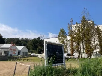 서울 마포 반려동물 캠핑장 도심 속 힐링 명소 가이드_23