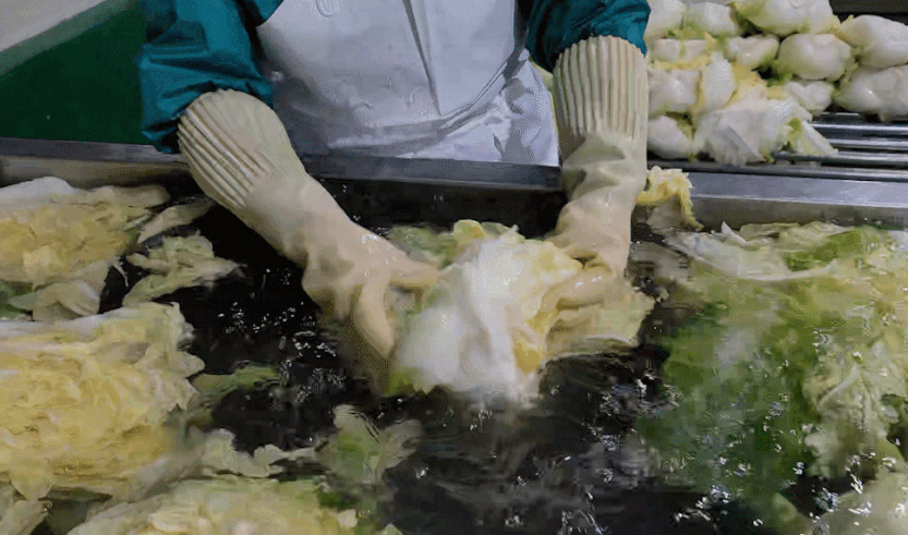 해남 절임배추 20kg 사전예약 가격비교