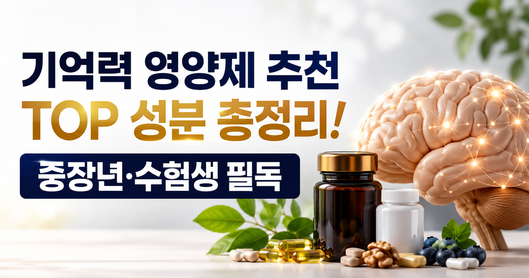 기억력 영양제 추천