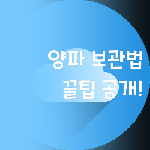 양파, 싸다고 샀는데… 보관법 몰라 ..