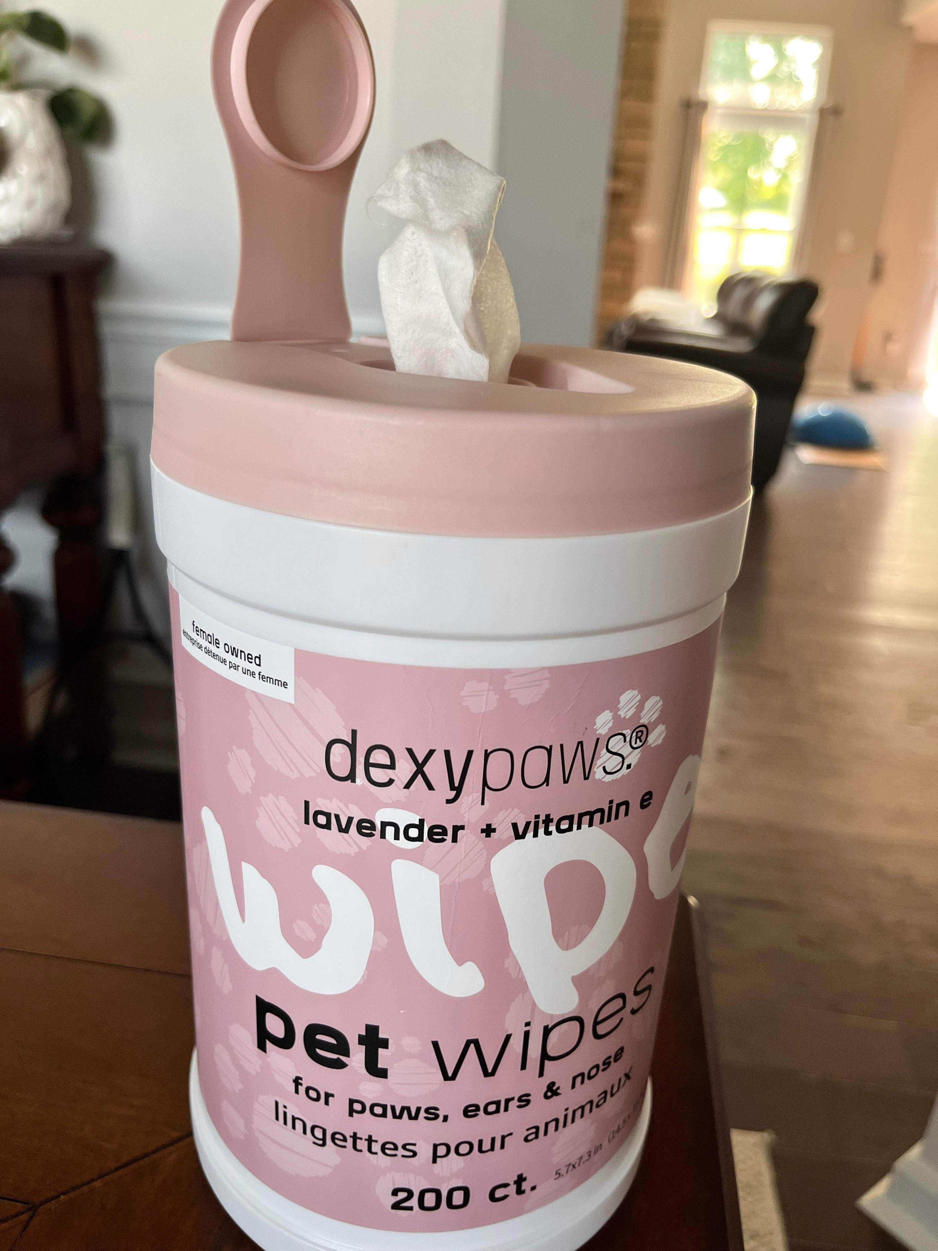 강아지 전용 물티슈 뚜껑이 열러서 티슈가 보이는 이미지