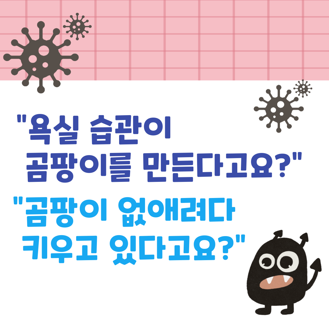 곰팡이 막으려다 오히려 키운다? 잘못된 욕실 관리 습관 5가지