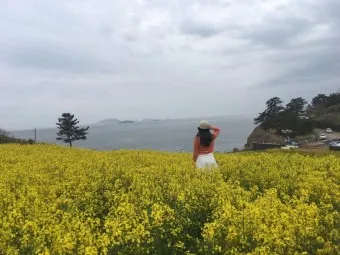 부안 수성당 유채꽃 히든스팟 개화시기_24