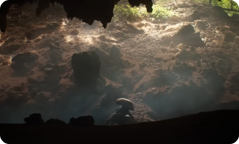 에이리언어스관련사진