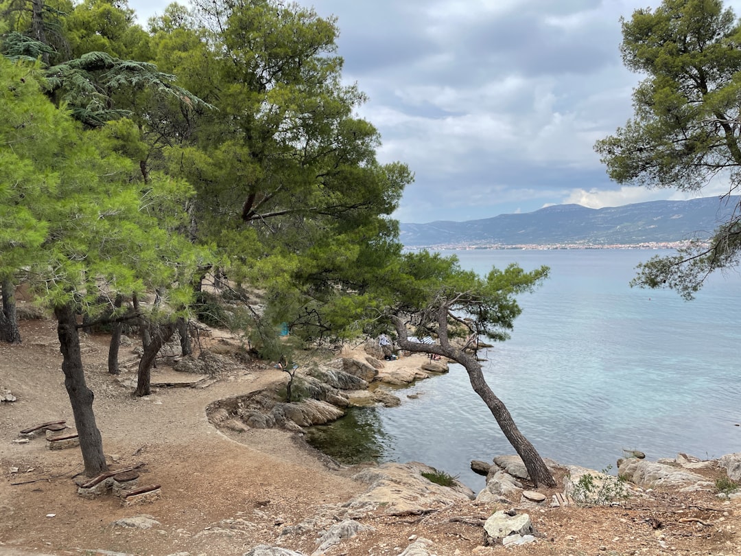 Split