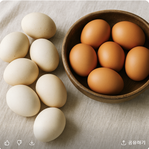 초란과 일반계란의 차이, 제대로 알고 드시나요? 관련 사진