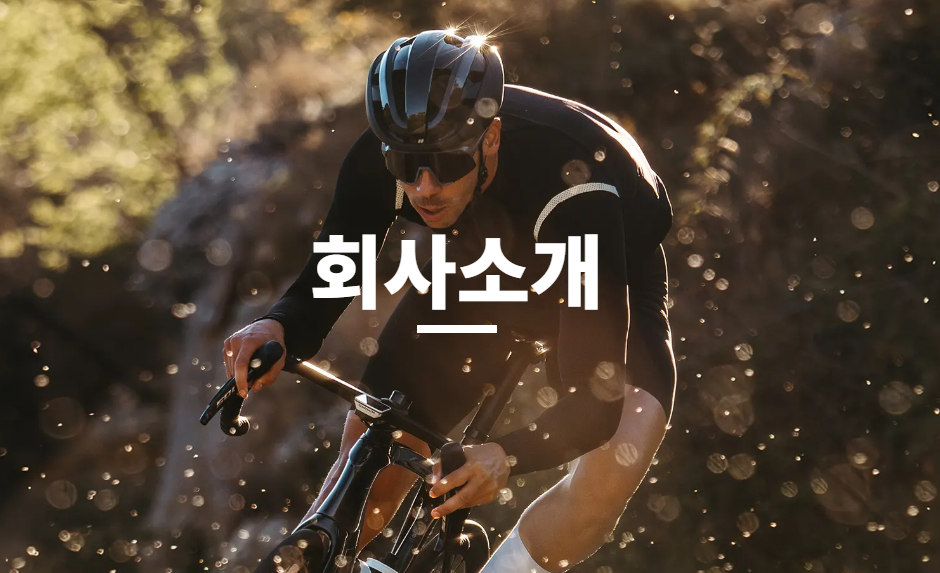 홍진 자전거 헬멧