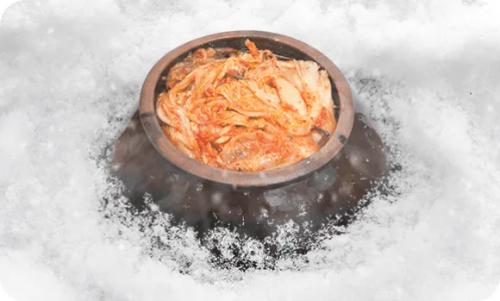 위니아 김치냉장고 리콜 신청 방법 대상 모델