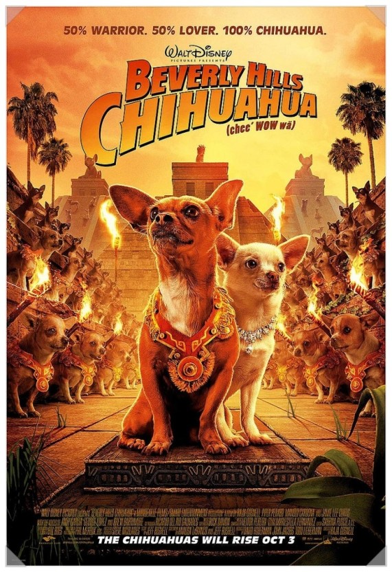비벌리힐즈 치와와 (2008)