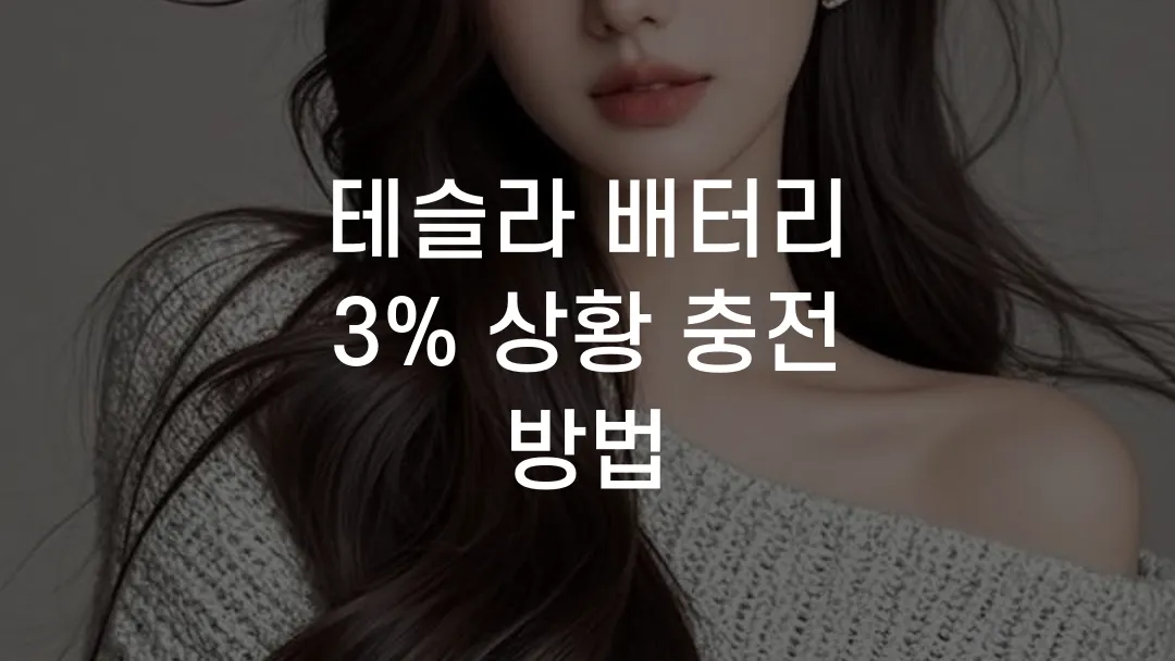 테슬라 배터리 3% 상황 충전 방법
