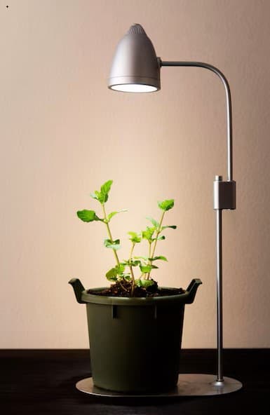조명 부족을 보완하는 LED 라이트로 식물 키우기