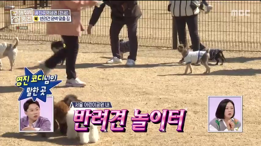 구해줘홈즈 댕댕하우스 동물병원 인접 서울시 광진구 중곡동 전세 매매 매물 가격 및 구조 인테리어 리모델링 최종선택 더보이즈 영훈 현재 소개