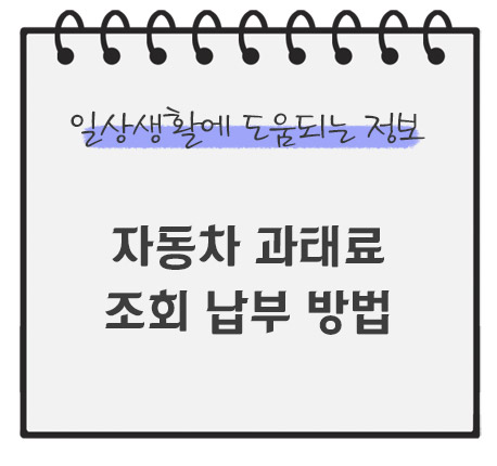 자동차-과태료-조회