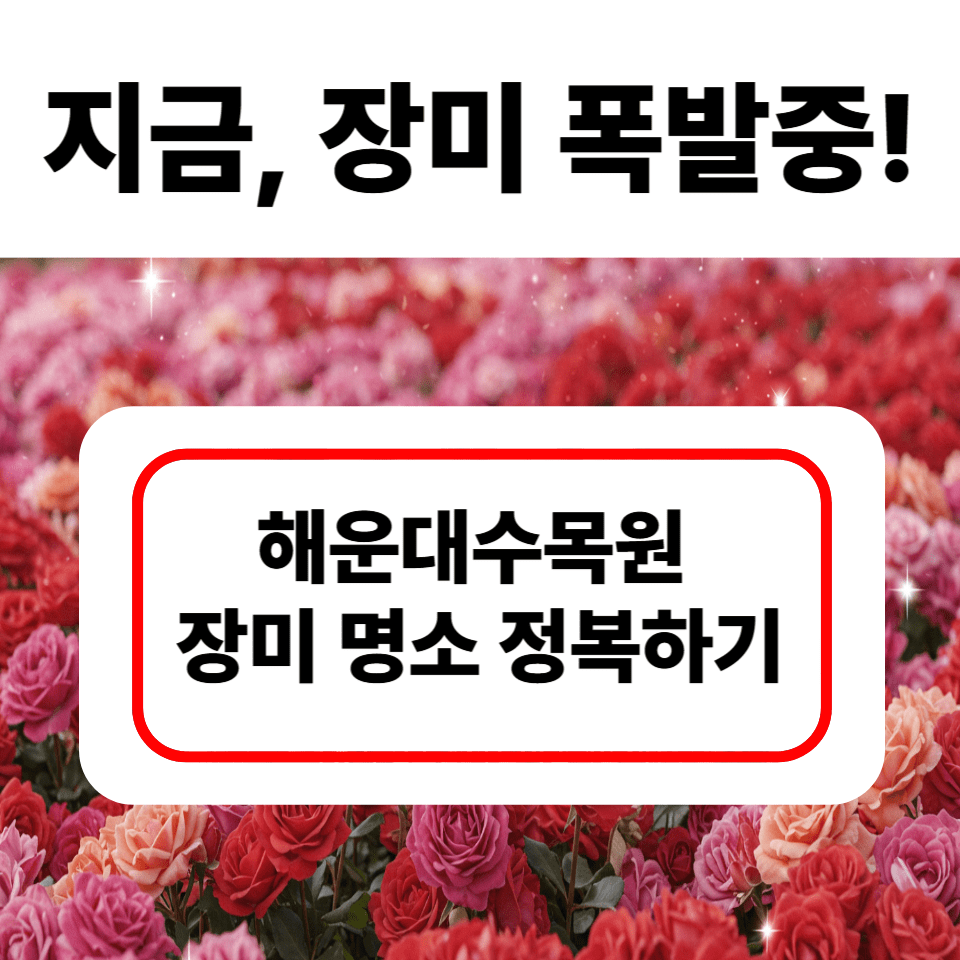 해운대수목원 장미 절정기